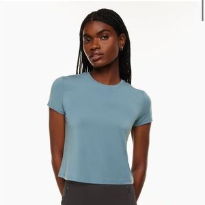 Aritzia Babaton Everyday Tee Shirt